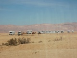 Tn  DSC0101